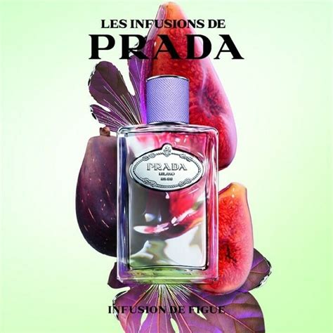 prada de figue|Infusion de Figue Prada for women and men .